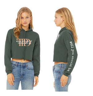 TTPD (Limited Availability) Bella Canvas Crop Top Hoodies