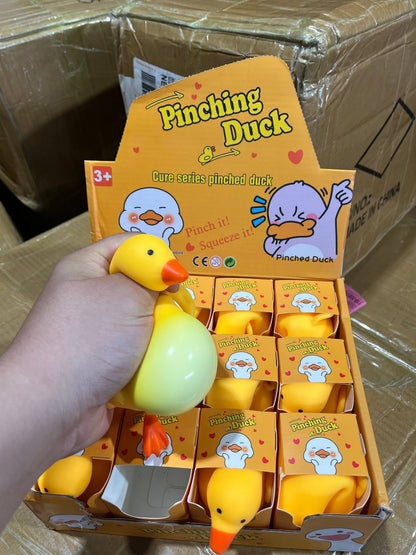 Pinching Squishie Ducks