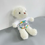 Teddy Bear with Customizable T-shirt