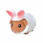 Party Animals- Guinea Pigs