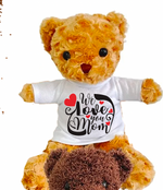 Teddy bears with  Custom Personalized Shirt