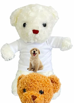 Teddy bears with  Custom Personalized Shirt