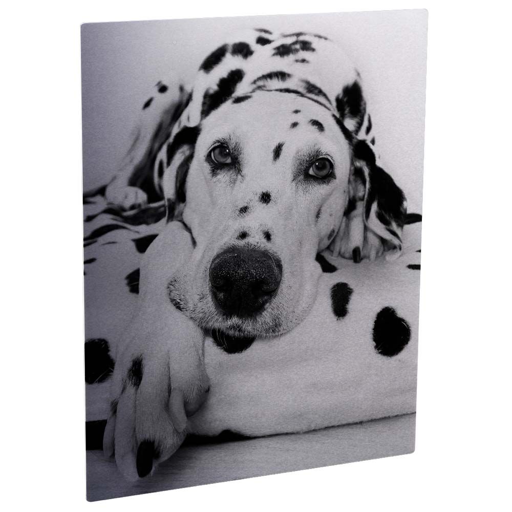 11x14 Aluminum finish photo panel