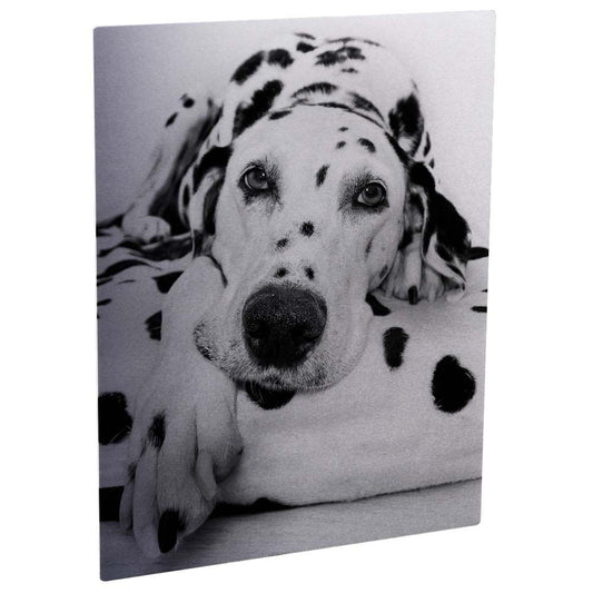 11x14 Aluminum finish photo panel