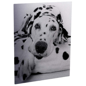 11x14 Aluminum finish photo panel