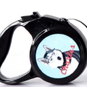 Pet Retractable Leash