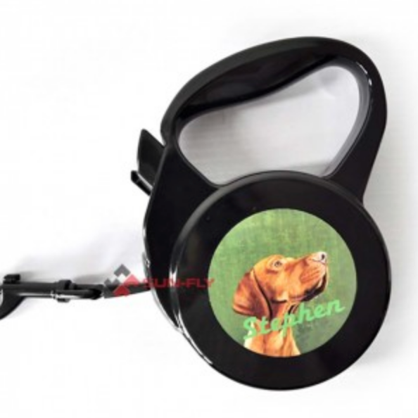Pet Retractable Leash
