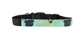 Custom Pet Collar