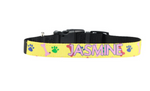 Custom Pet Collar