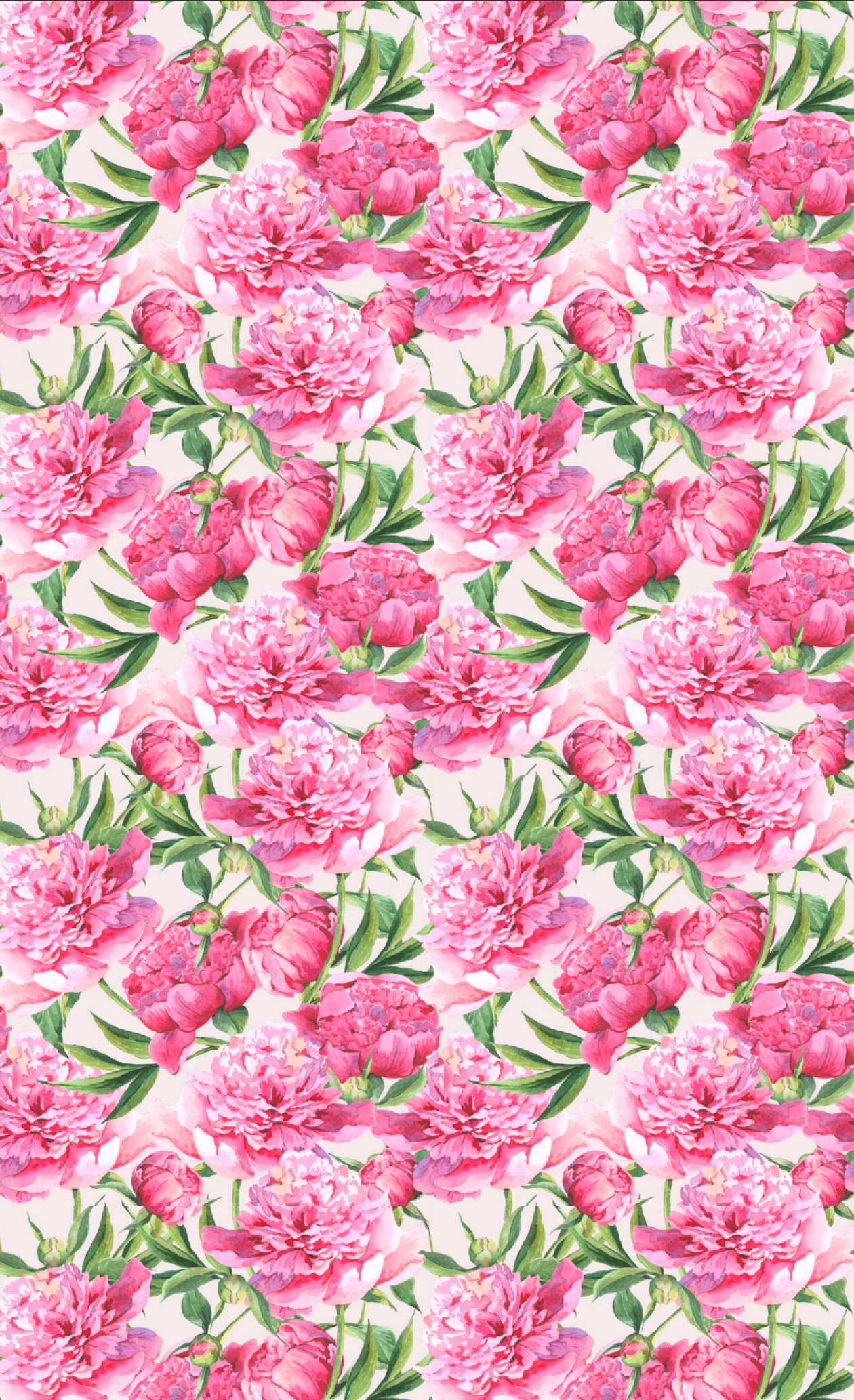 Floral Gaiter Collection