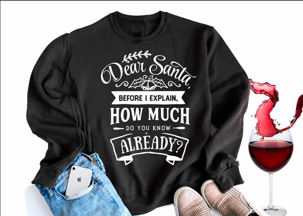 Dear Santa I can Explain Sweater SSUPhoto Designs