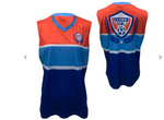 LADIES SLEEVELESS V NECK