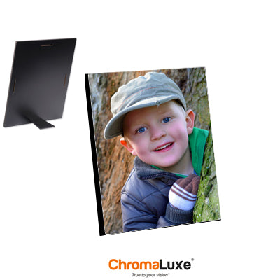 8x10 easel photo panel