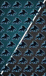 Parkman School Gaiters